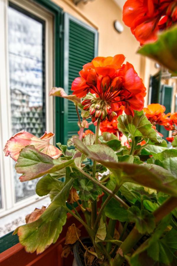 B&B Grazia Capua Exterior photo